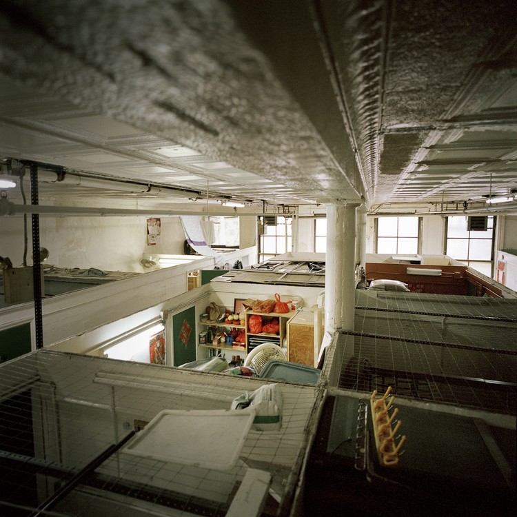 AnnieLing_81Bowery_02